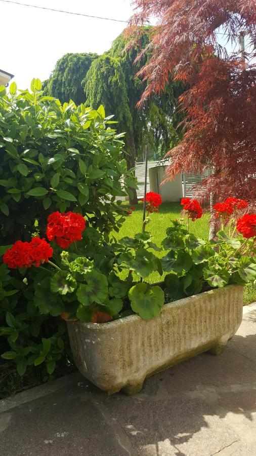 B&B "Al Colle 11" Фано Екстериор снимка